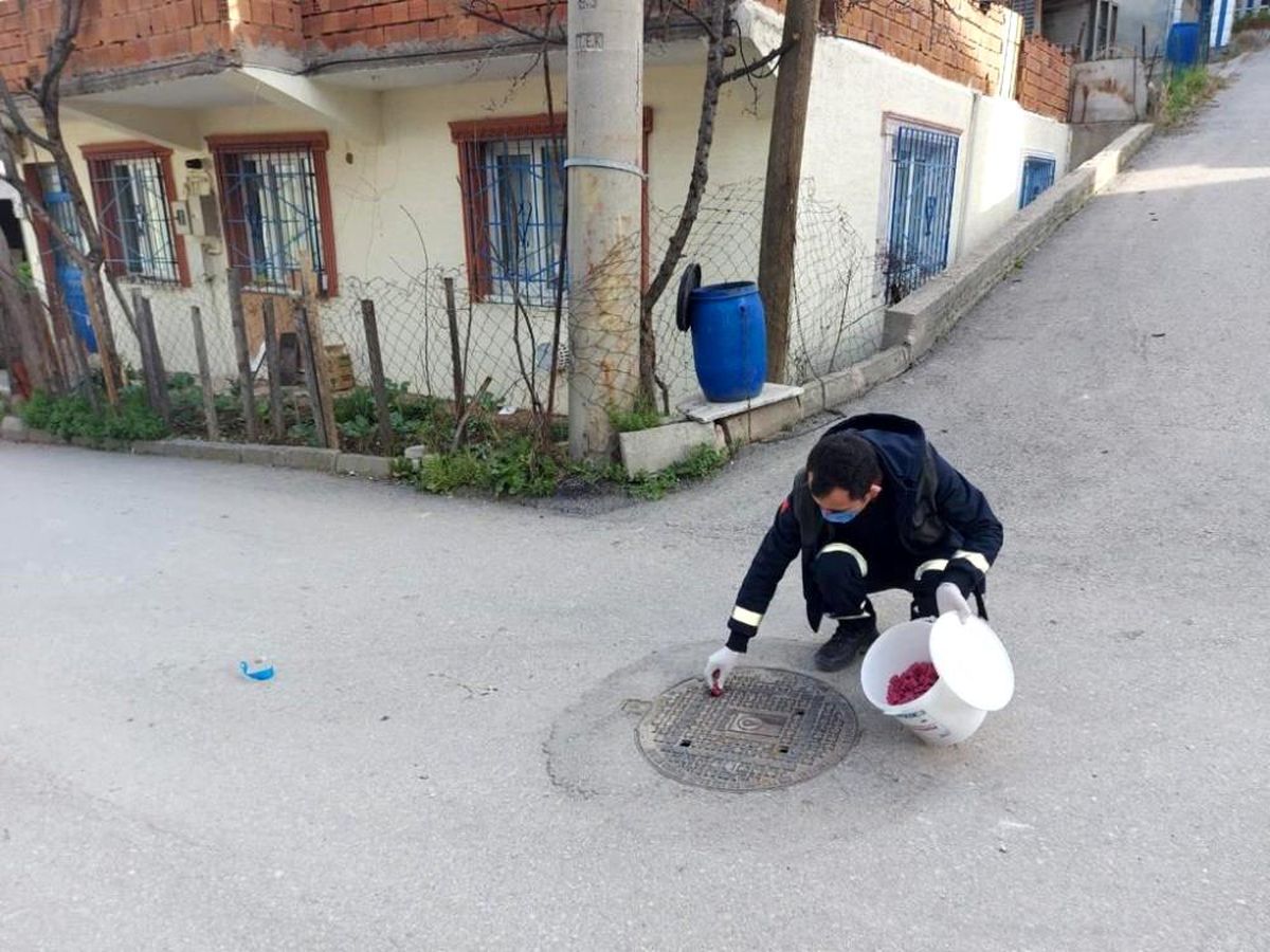 Haşerelere karşı ilâçlama