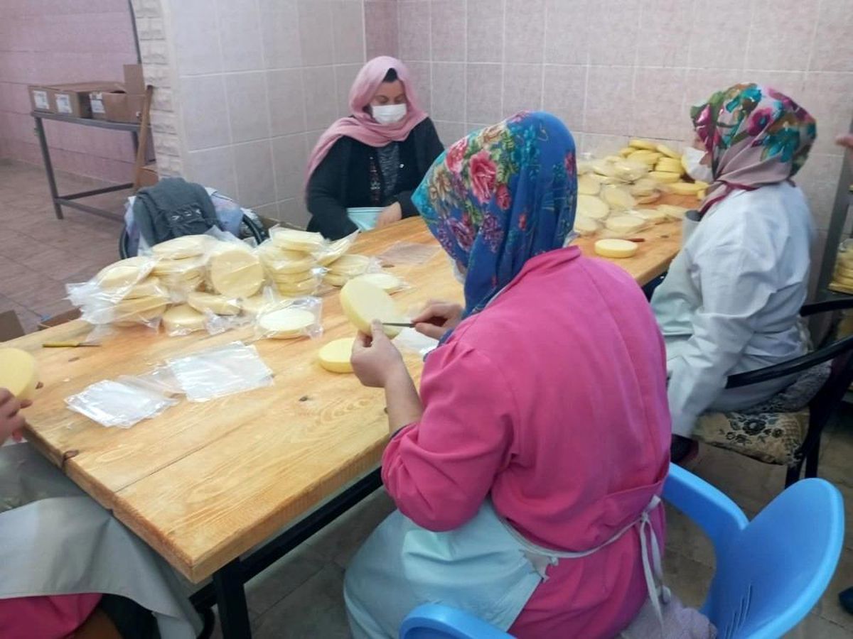 Iğdır\'da süt ve süt ürünleri tesisi denetlendi