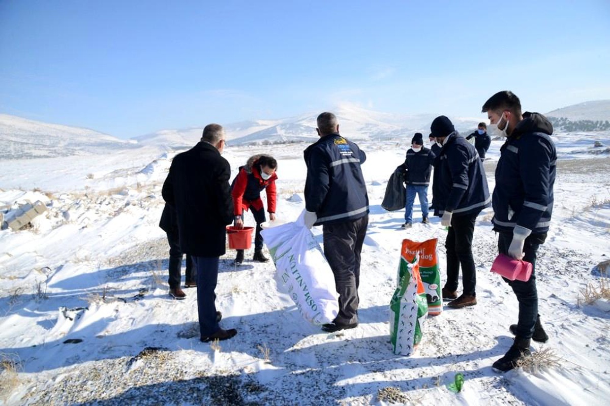 Kırşehir\'de yaralı ve hasta halde bulunan köpek tedavi edildi