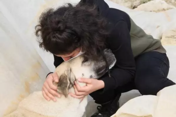 Komşusu, üniversiteli Fatma'nın köpeğini vurdu, 'Aynısını sana da yaparım' diye tehdit etti