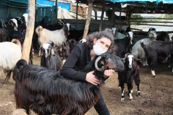 Komşusu, üniversiteli Fatma'nın köpeğini vurdu, 'Aynısını sana da yaparım' diye tehdit etti