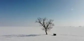 'Kusursuz kulak' Bager, karla kaplı Muş Ovası'nda piyano çaldı