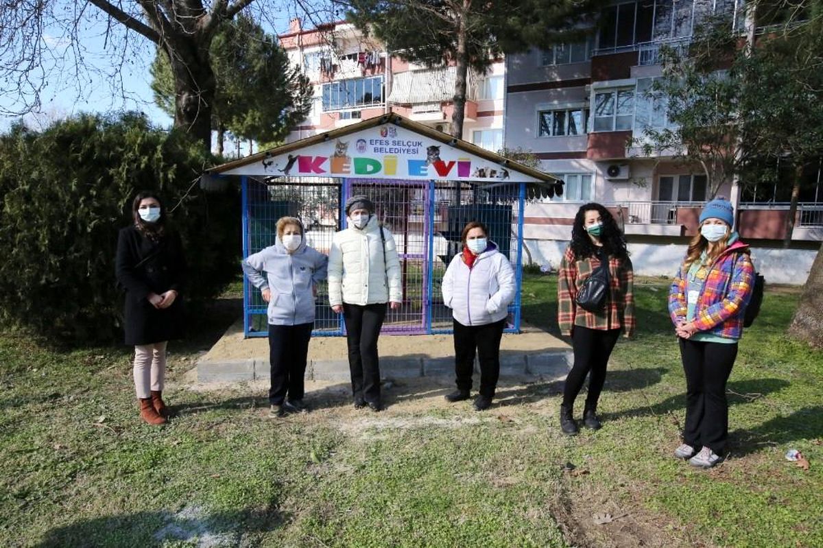Son dakika haberi: Selçuk\'ta Kediler Günü\'nde can dostlarına kedi evi