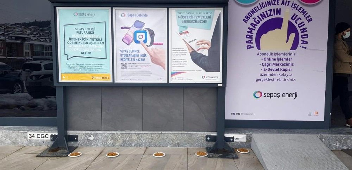 Sepaş Enerji sokak hayvanları için mama bıraktı