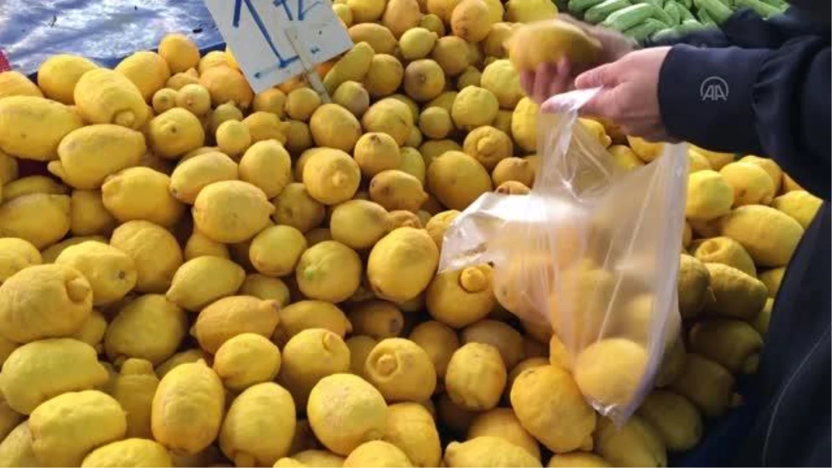 Türkiye\'den ocak ayında 31,4 milyon dolarlık limon ihraç edildi