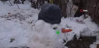 Bu da 'kardan robot'