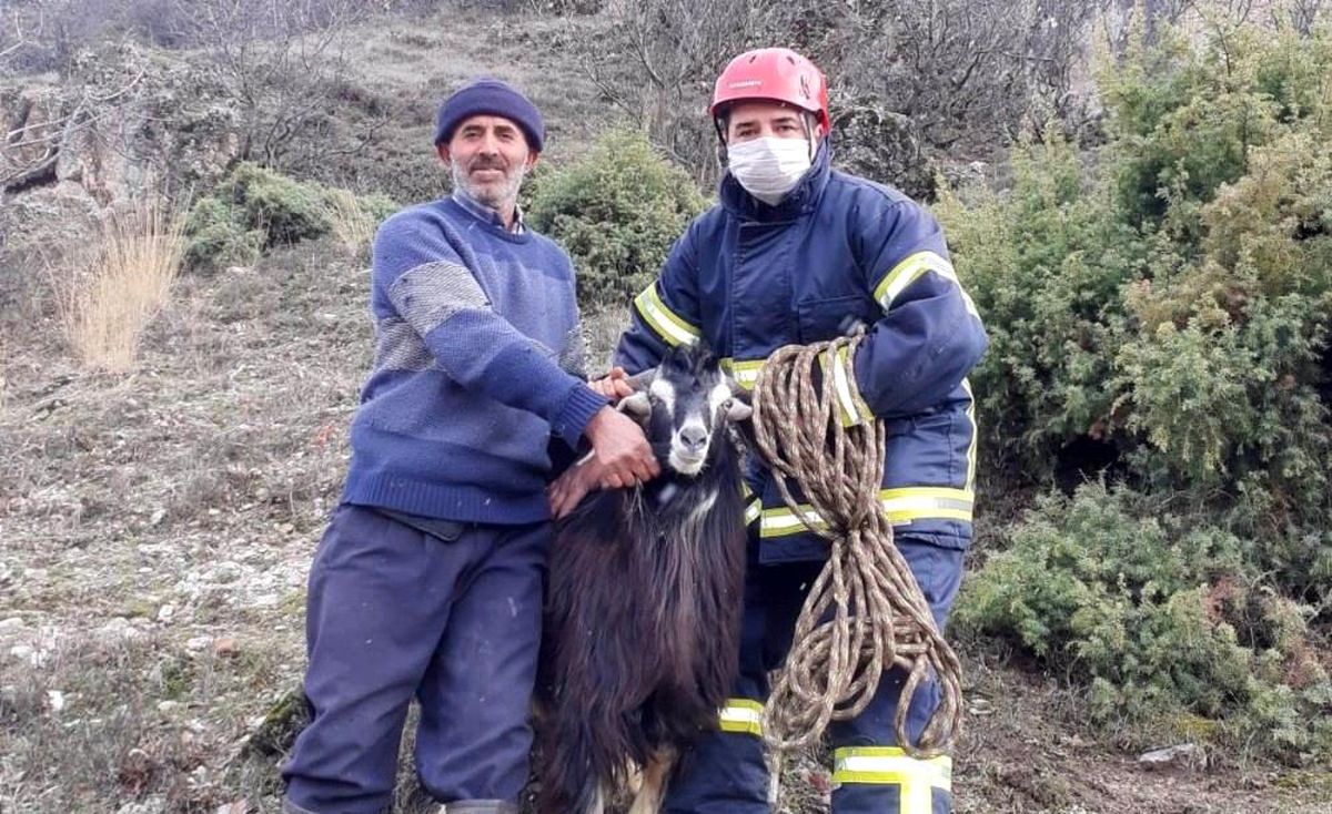 Dağda mahsur kalan keçiyi itfaiye kurtardı
