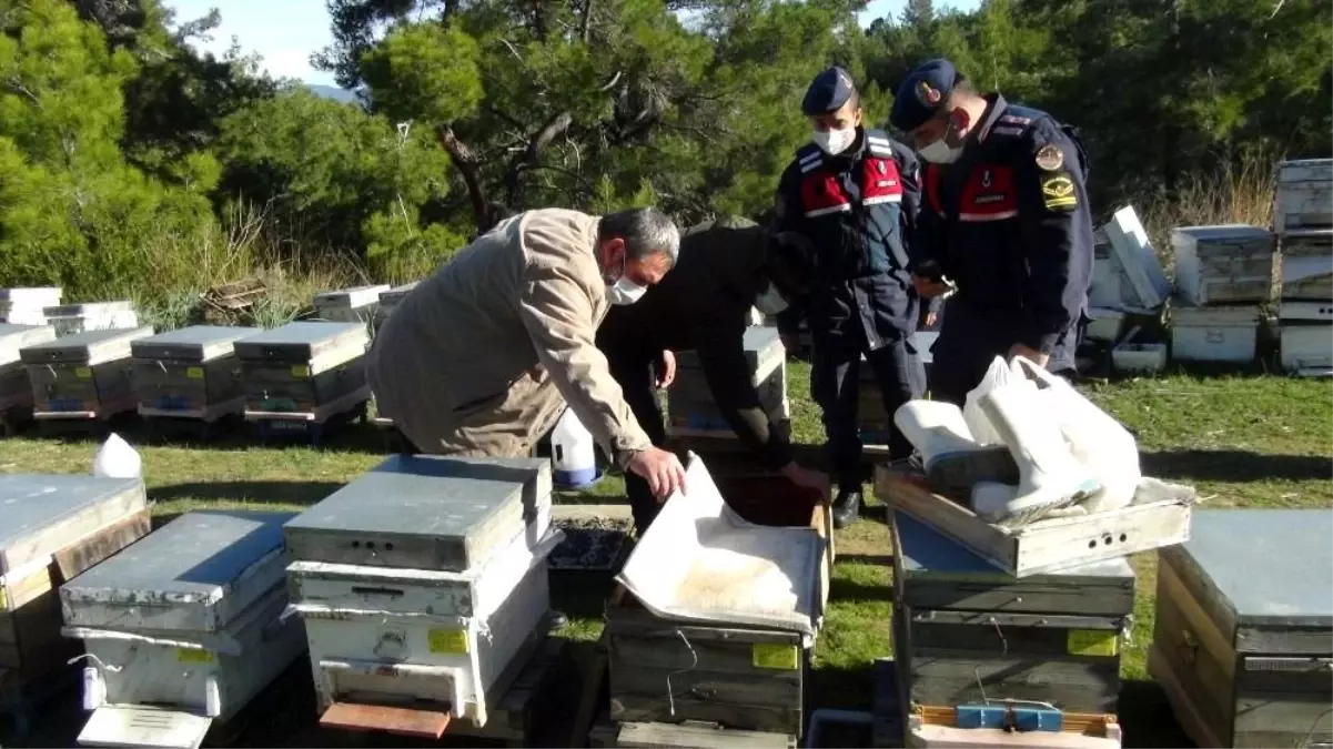 Dedektif gibi iz süren arıcı, çalınan arılarını 200 kilometre uzakta buldu