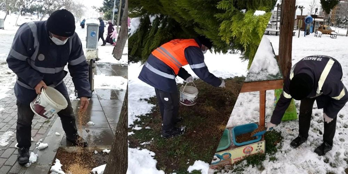 Doğaya kuşlar için yem, sokak hayvanları için mama
