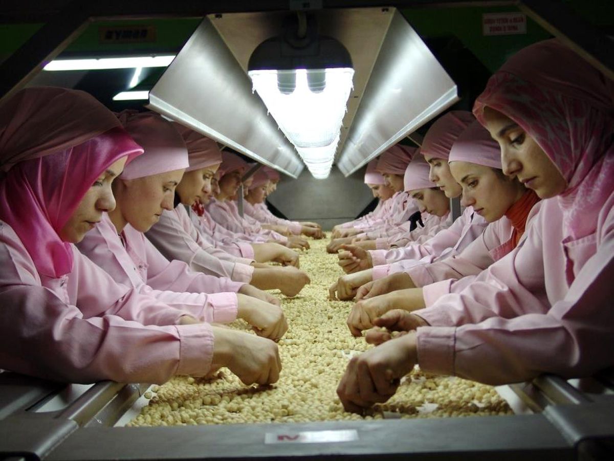 Düzce\'den Avrupa\'ya 2 bin 428 ton iç fındık ihraç edildi
