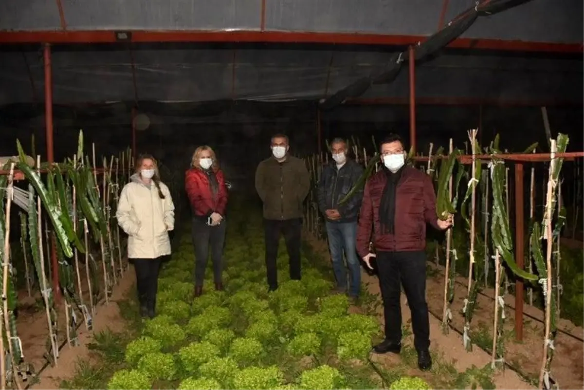 Kaymakam zirai don nöbeti tutan çiftçileri yalnız bırakmadı