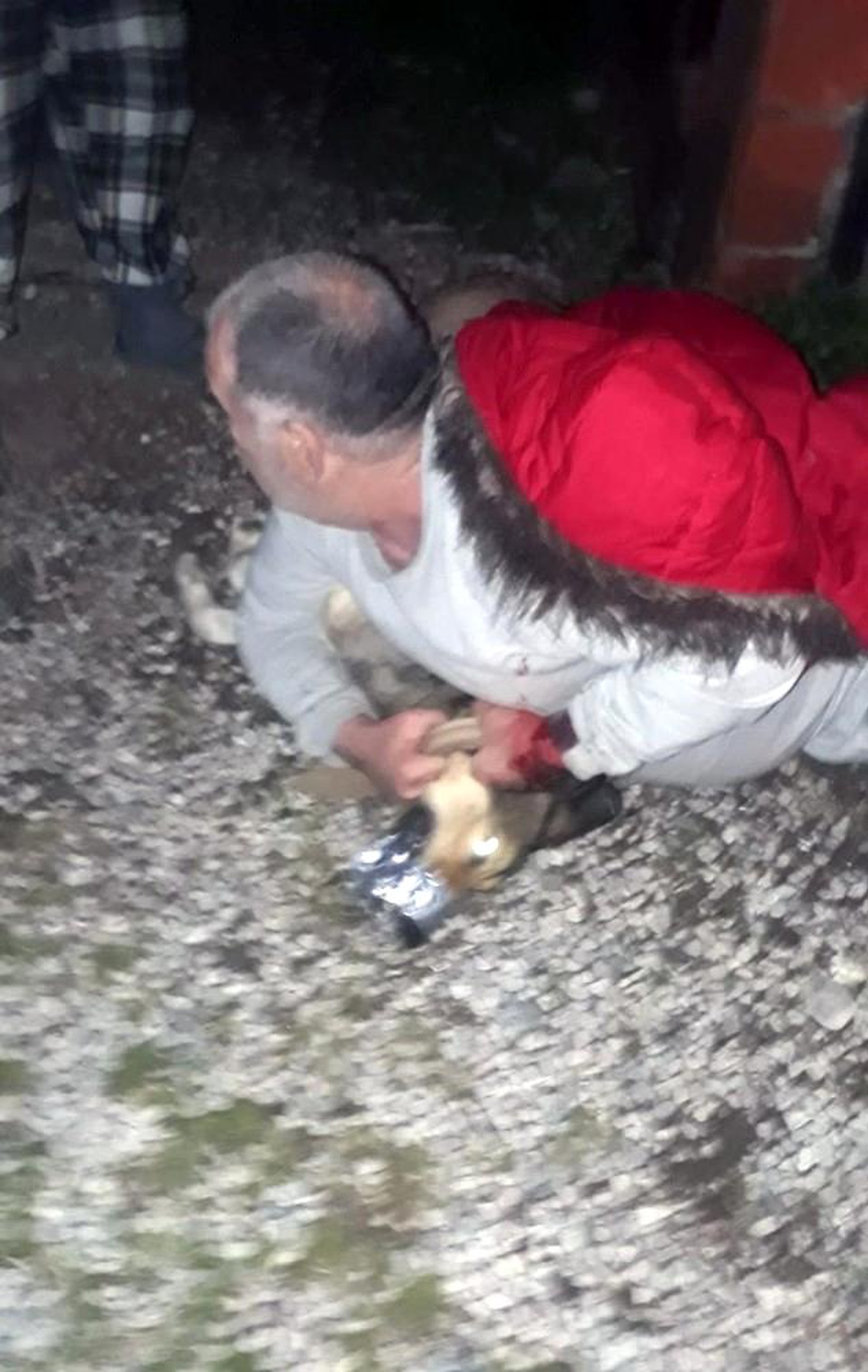 Köpeğin saldırdığı vatandaşı Jandarma kurtardı