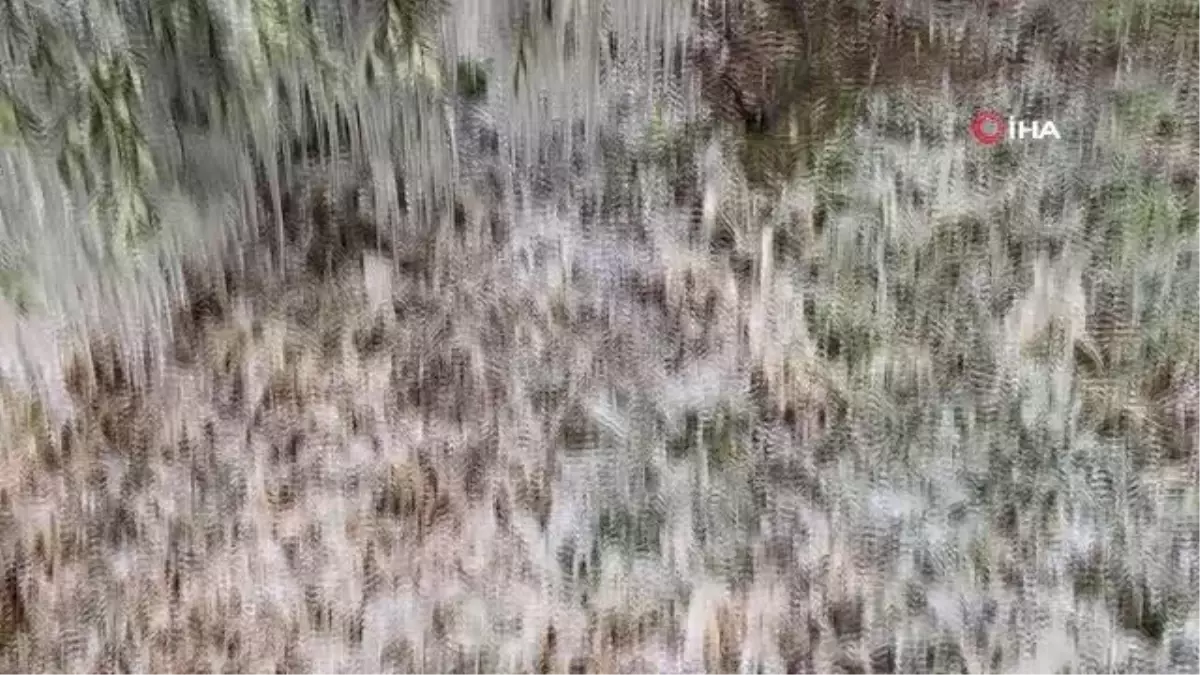 Son dakika haberleri | Patlayan hortumdan çıkan sular buz tuttu, görsel şölen oluştu