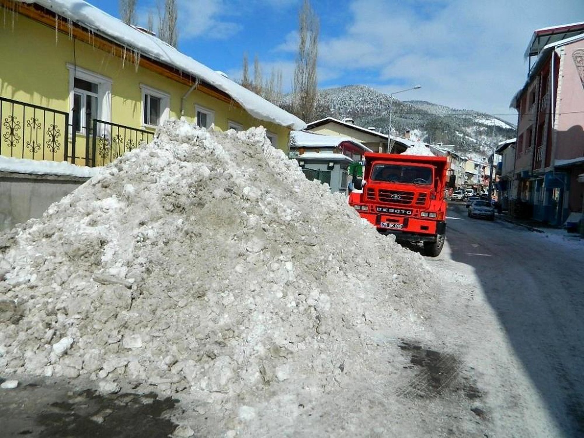 Posof\'ta kar hayatı olumsuz etkiliyor