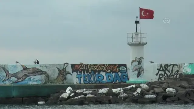 Tekirdağlı balıkçılar Marmara'ya açılmak için deniz salyasının bitmesini bekliyor