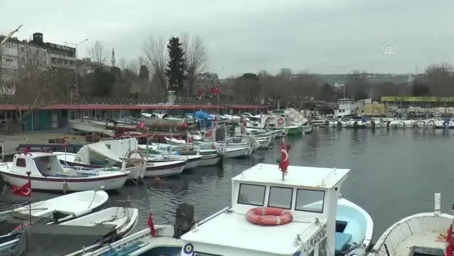 Tekirdağlı balıkçılar Marmara'ya açılmak için deniz salyasının bitmesini bekliyor