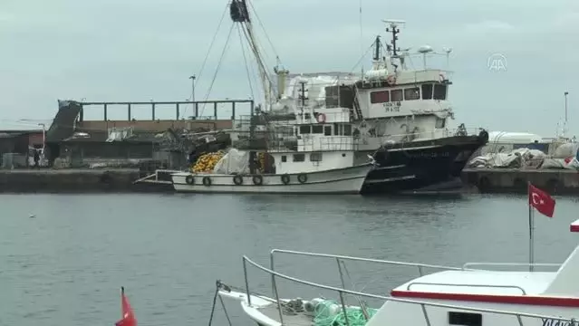 Tekirdağlı balıkçılar Marmara'ya açılmak için deniz salyasının bitmesini bekliyor