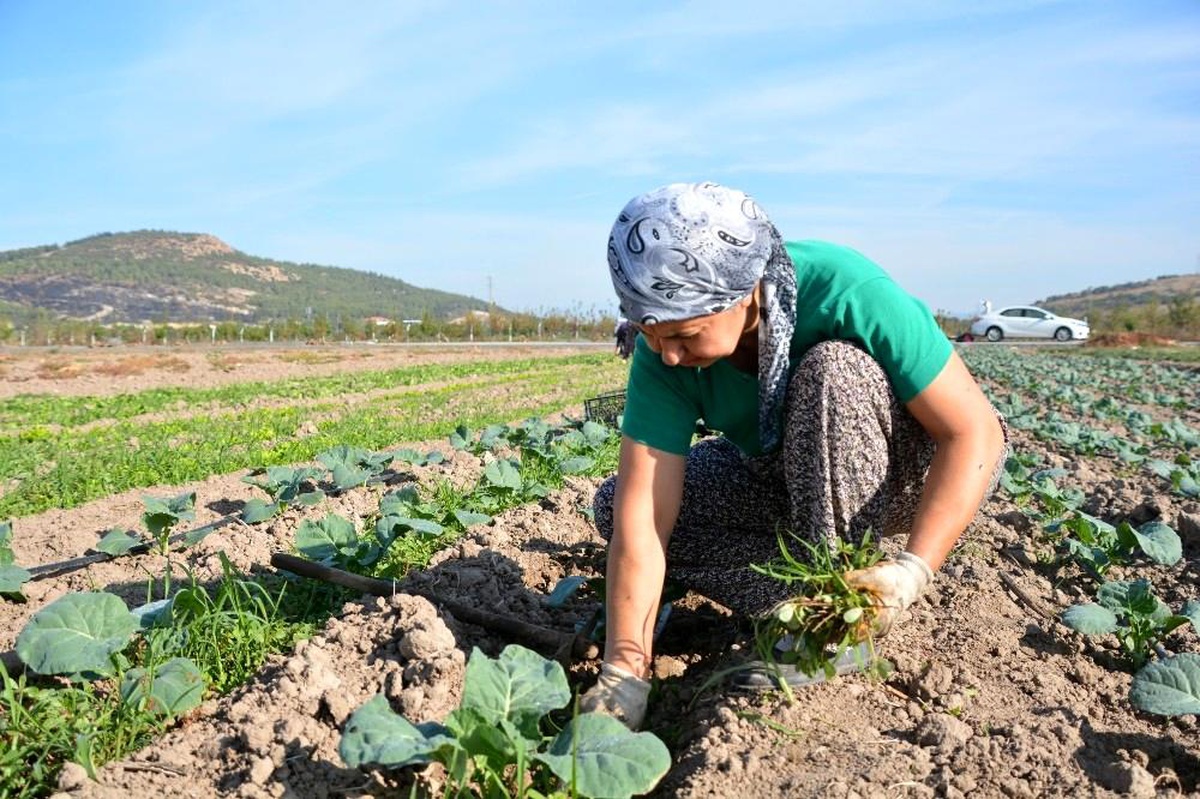Aliağa Belediyesinden Türkiye\'nin ilk toprak ve tarım atlası