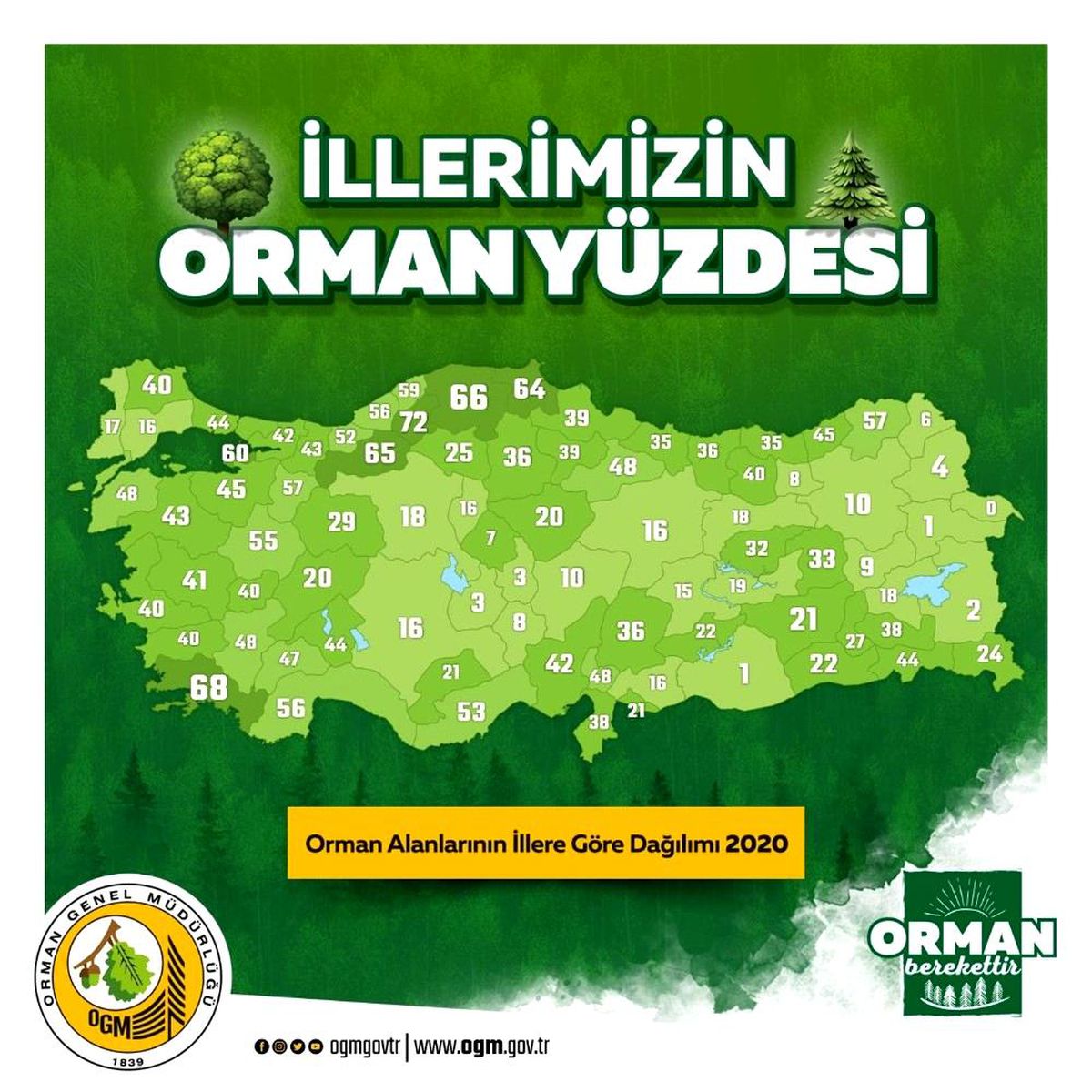 Aydın\'ın yüzde 40\'ı ormanlarla kaplı