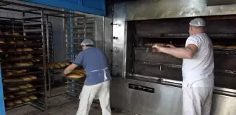 Hafta sonu sokaklar sokak hayvanlarına kaldı