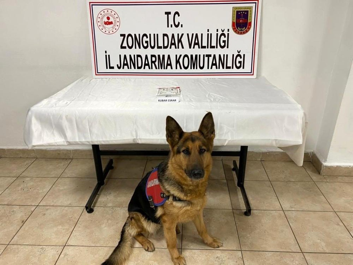 Jandarmadan uyuşturucu operasyonu; 1 gözaltı