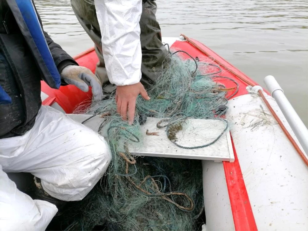 Son dakika haber! Kaçak olarak avlanan 750 kg canlı balık suya bırakıldı