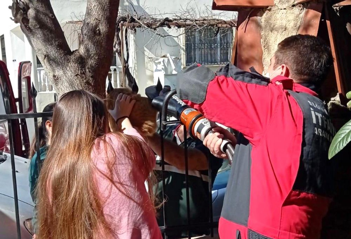 Korkuluk demirine sıkışan kediyi itfaiye kurtardı