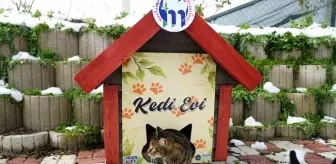 Mustafakemalpaşa kedi evleriyle donatıldı