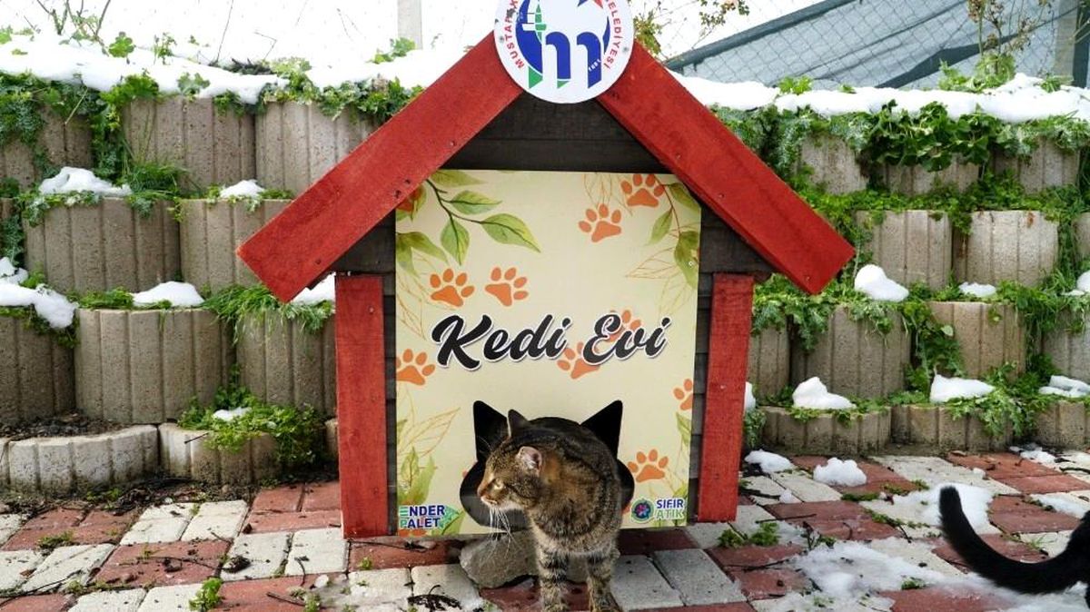 Mustafakemalpaşa kedi evleriyle donatıldı
