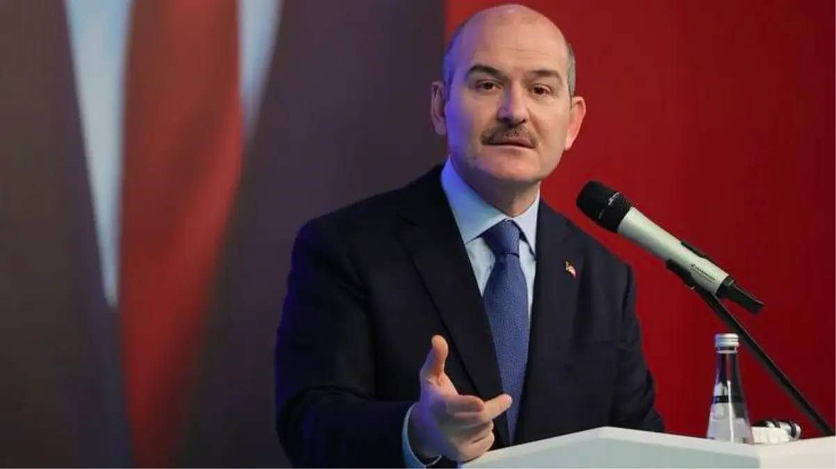 Son Dakika: Bakan Soylu, Gara\'ya giden HDP\'linin Ağrı Milletvekili Dirayet Dilan Taşdemir olduğunu söyledi