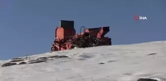 Yıllardır karlı dağlarda hayvanlarıyla iç içe yaşıyor