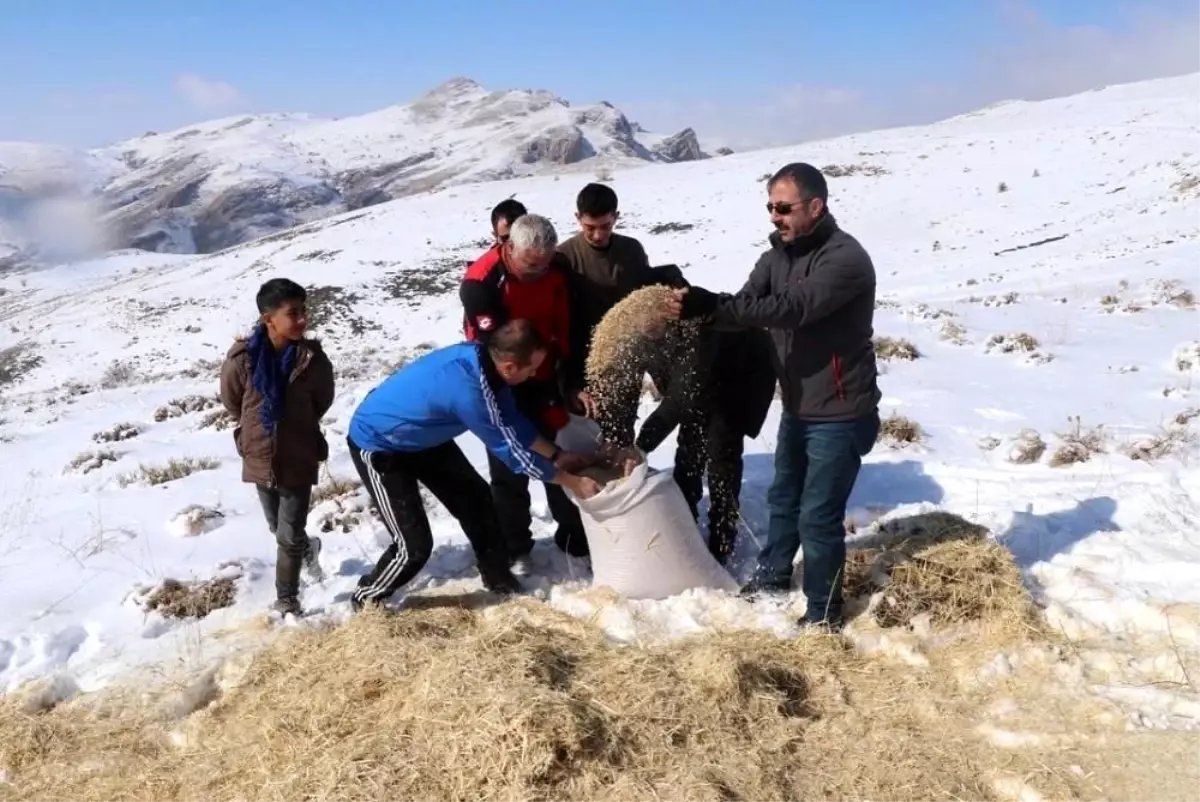 Erzincan\'da yılkı atları ve yaban hayvanları için doğaya yem bırakıldı