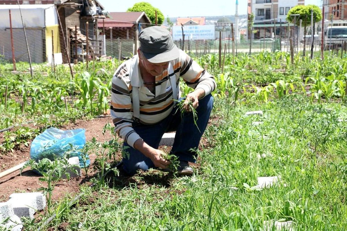 Hobi bahçeleri için kura çekilişi yapılacak