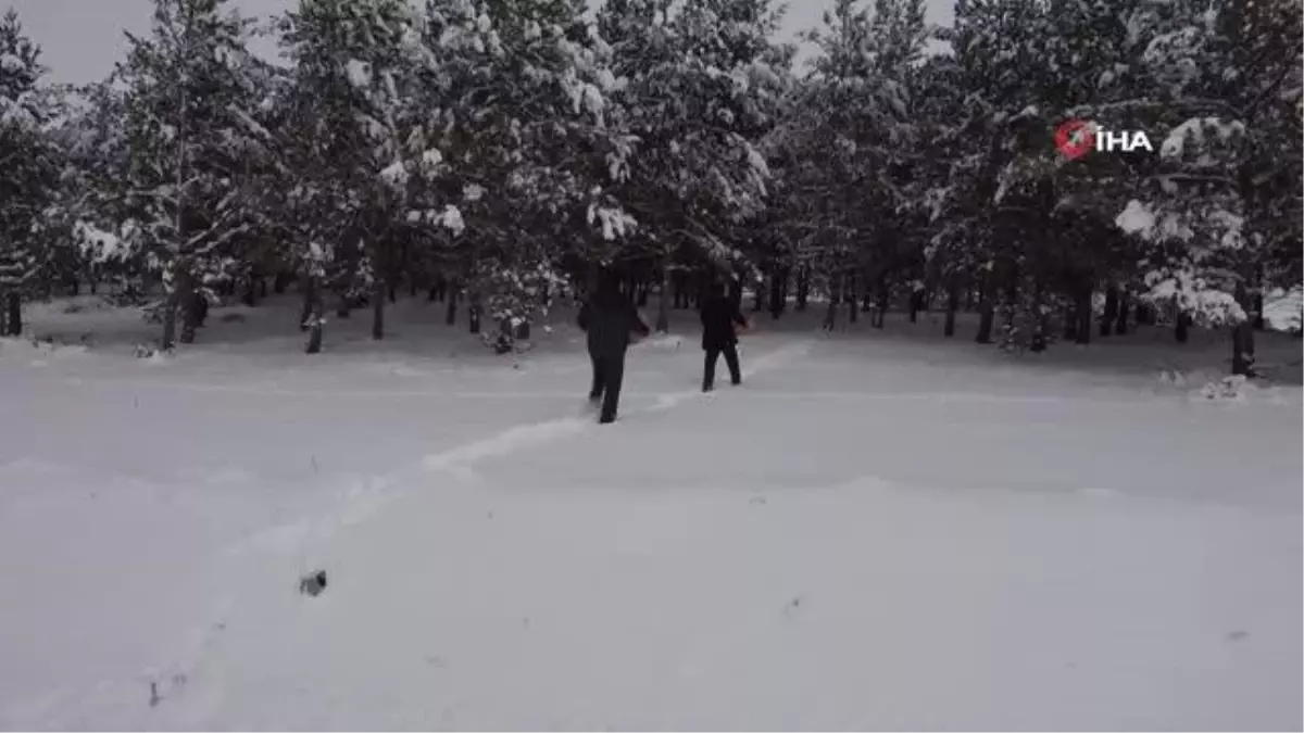 Kaymakam doğaya yem bırakarak, belirli bölgelere fotokapan yerleştirdi