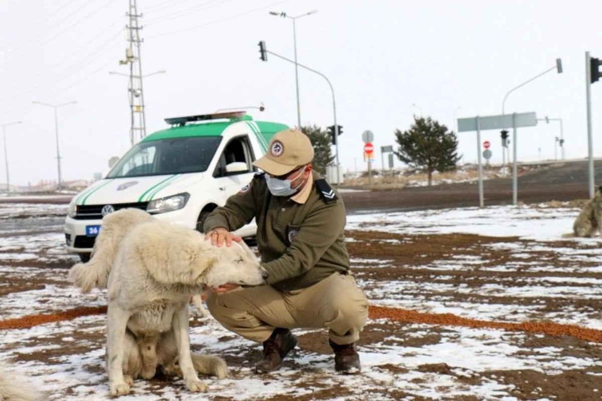 Polis sokak hayvanlarını unutmadı