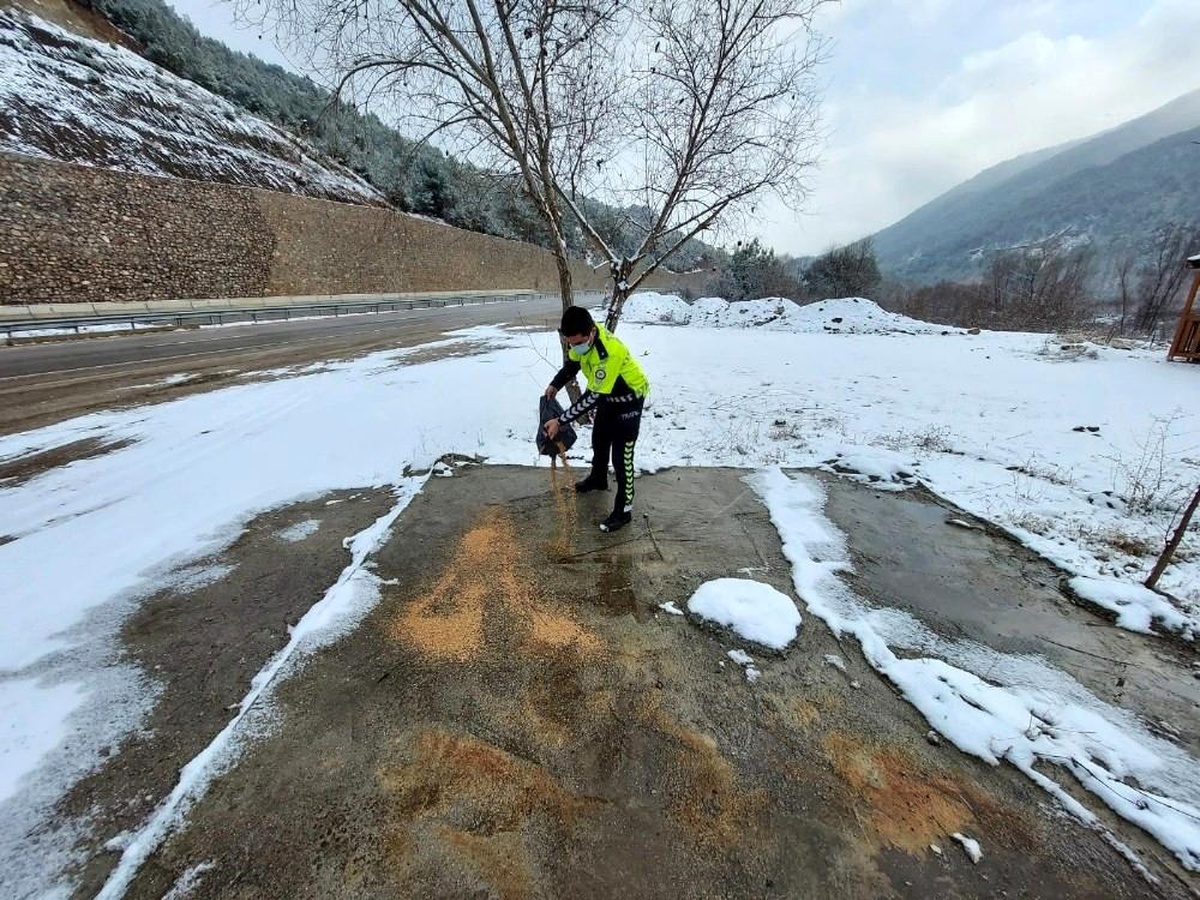 Son dakika haberi! Amasya\'da polisler, yaban hayvanları için doğaya yem ve ekmek bıraktı