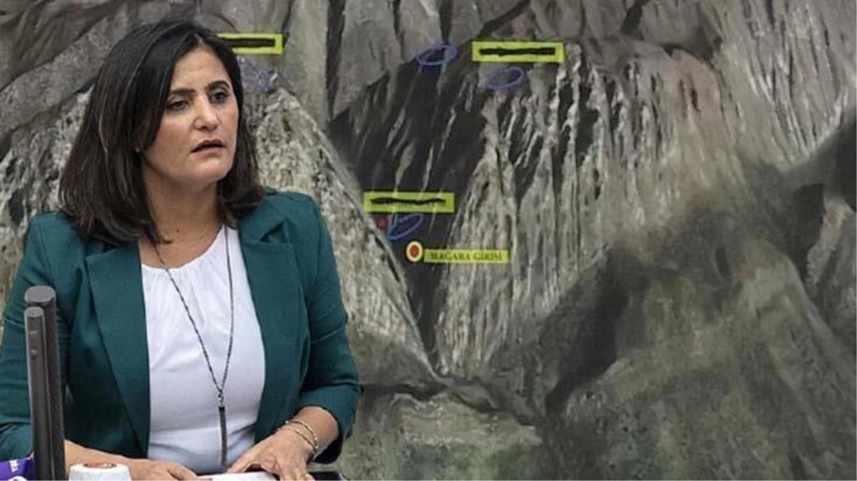 HDP\'li Dirayet Dilan Taşdemir\'in Haziran ayında Erbil\'e çıkış kaydı ortaya çıktı