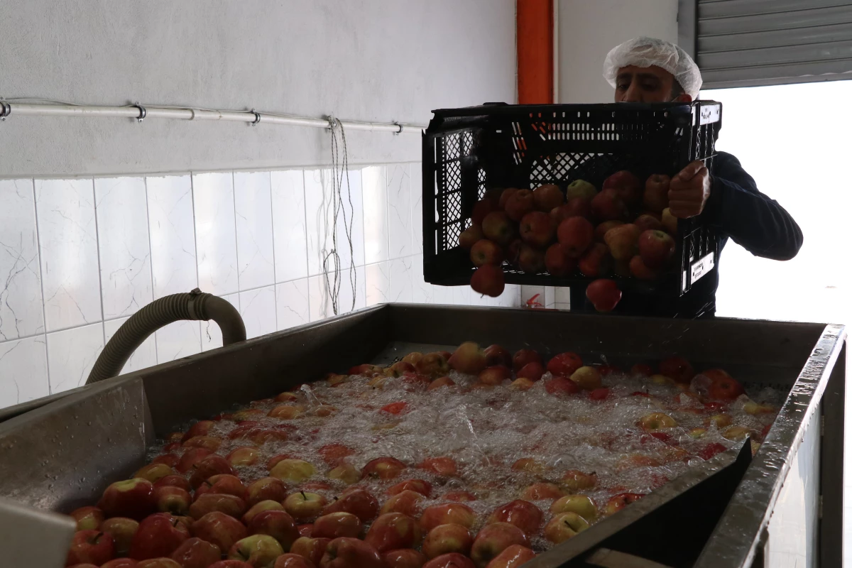 İtalya\'da gördüğü meyve ve sebze kurutma tesisini Niğde\'de kurarak yurt dışına açıldı