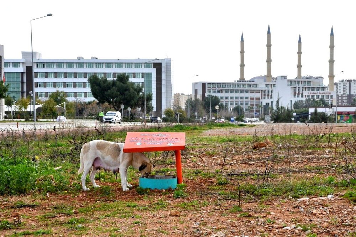 Konyaaltı Belediyesi\'nden, AÜ\'ye beslenme odağı