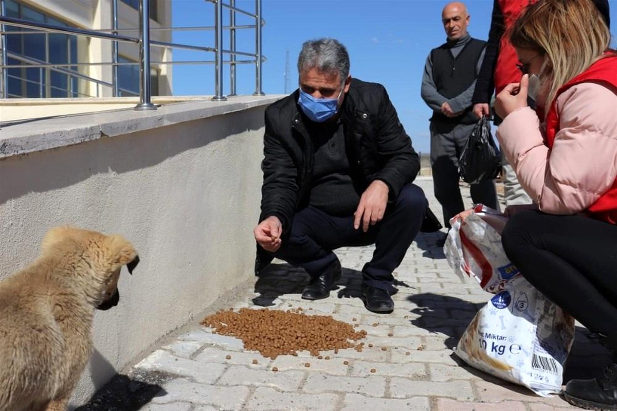 Sokak hayvanlarını besleyen gençlere plaket
