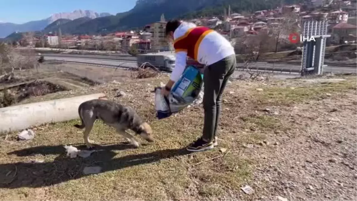 Adanalı kebapçı sokak hayvanlarını unutmadı