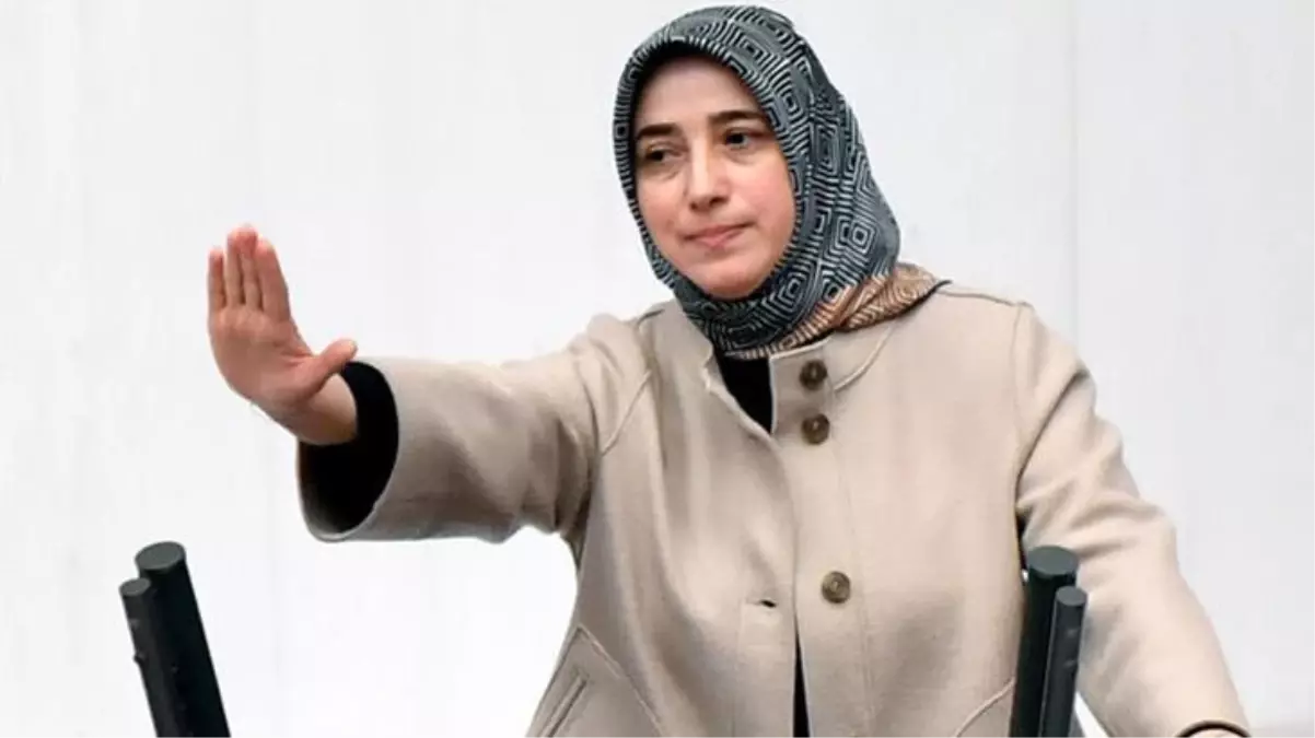 AK Parti Grup Başkanvekili Özlem Zengin\'e hakaret eden şüpheli gözaltına alındı