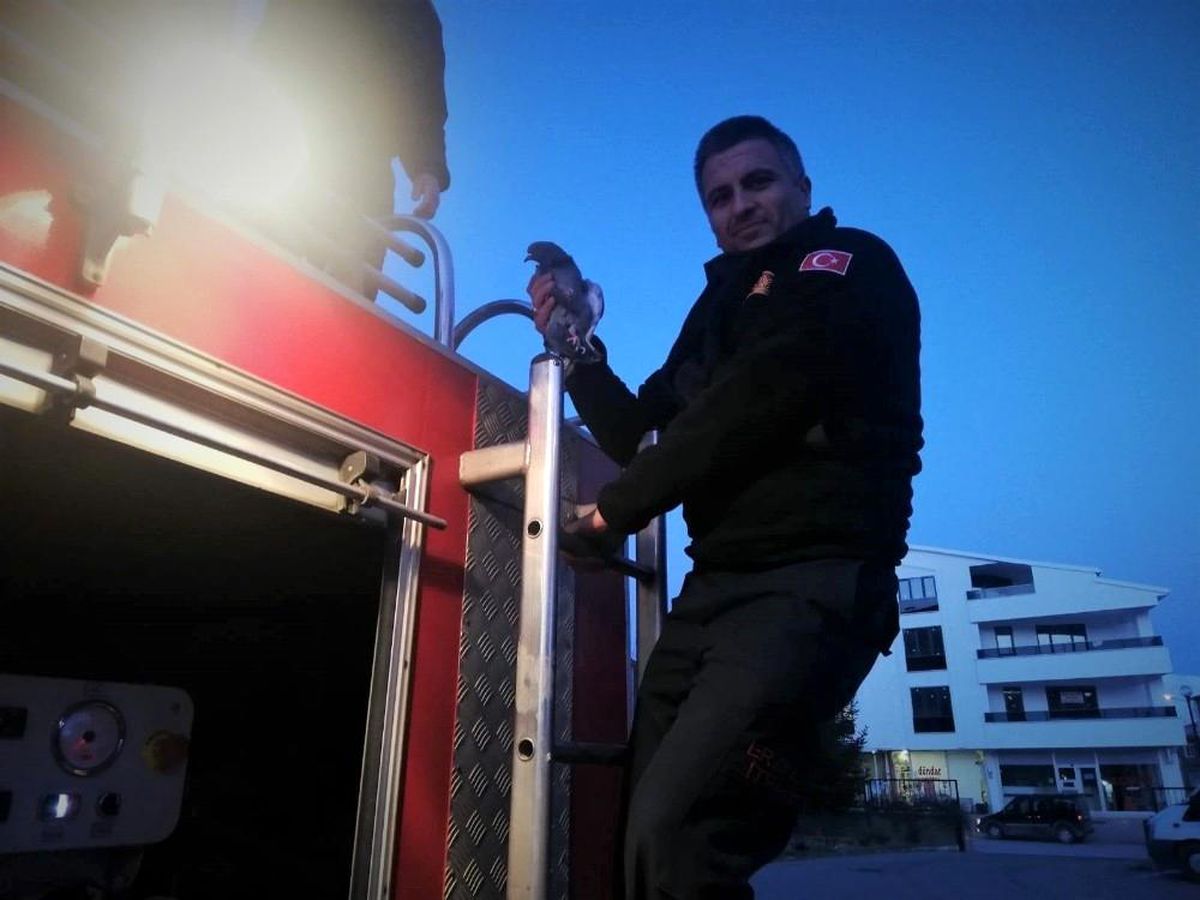 Çatıda sıkışan güvercin itfaiye ekipleri tarafından kurtarıldı
