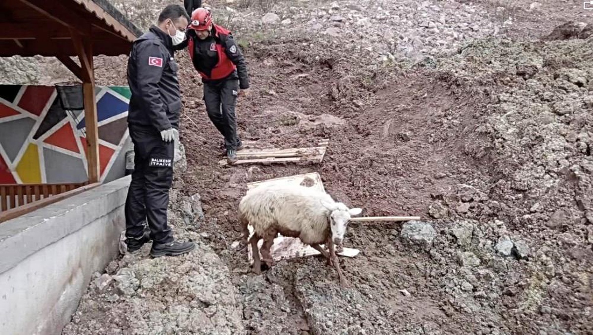 Edremit\'te itfaiyenin kuzu kurtarma operasyonu