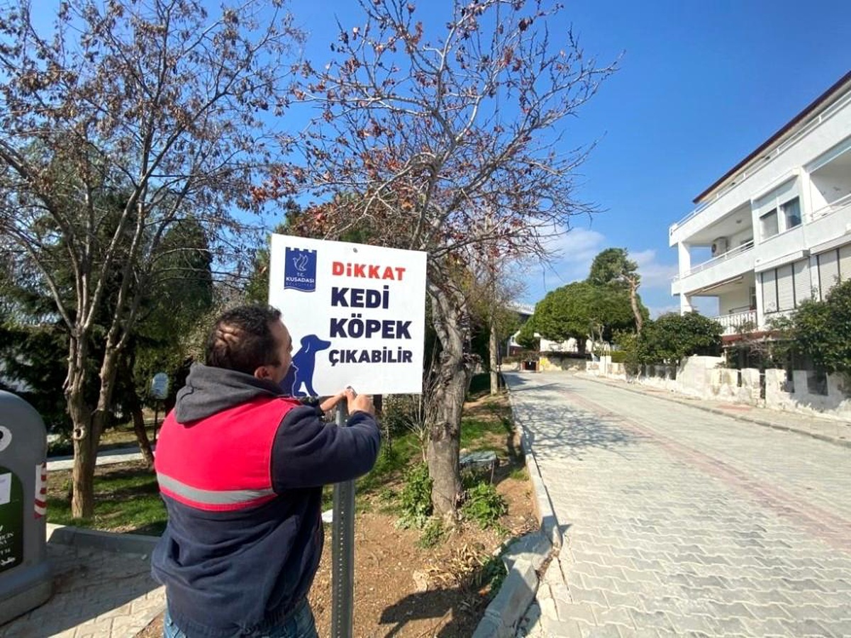 Hayvan dostu Kuşadası Belediyesi\'nden örnek bir uygulama daha