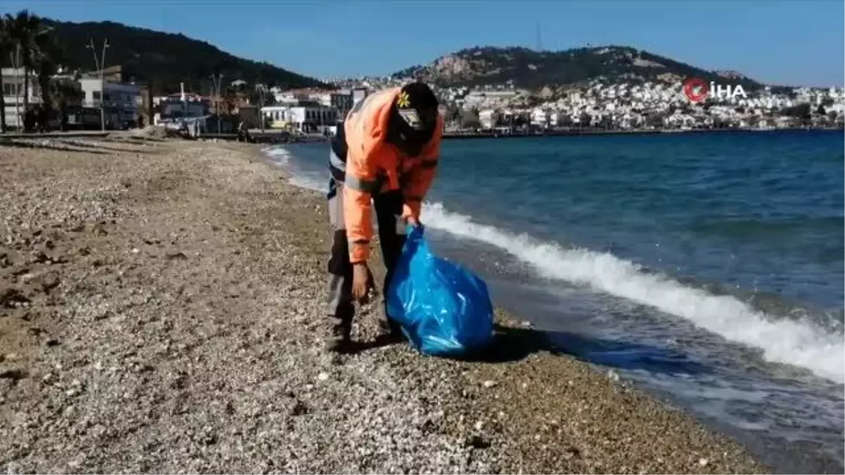 Son dakika haberleri | İzmir'de ölü balıklar kıyıya vurdu