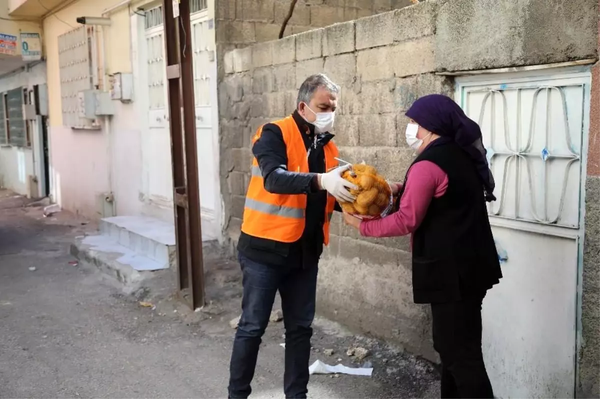 Pandemi mağduru vatandaşlara 750 ton patates desteği