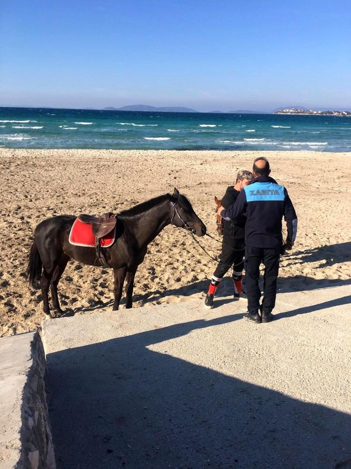 Sakatlanan yarış atına Çeşme\'de plaj engeli