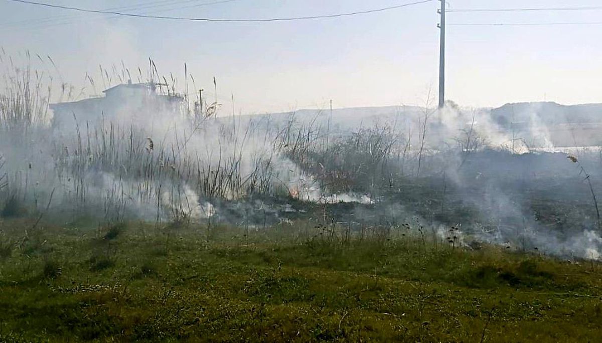 Yangın Gömeç sahilini duman altında bıraktı