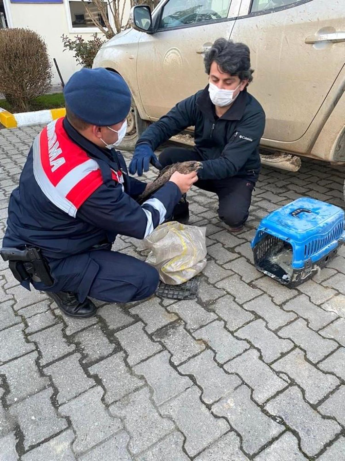 Son Dakika | Yaralı Doğan\'a jandarma şevkati